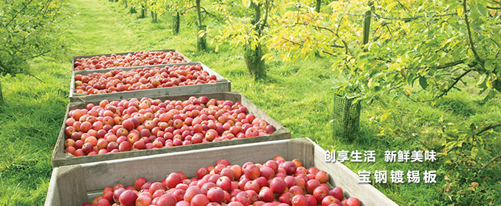 ��������(�й�)���޹�˾����