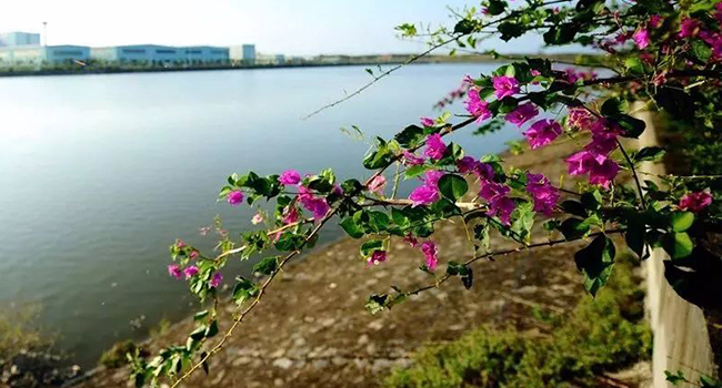 ��������(�й�)���޹�˾����