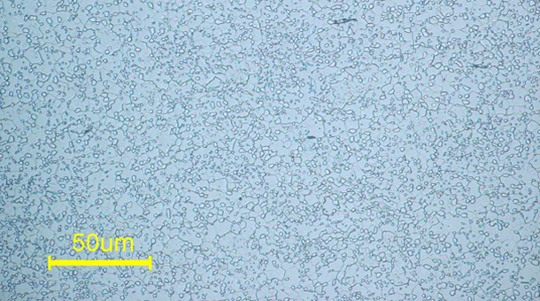 sk85½ðÏà×éÖ¯ sk85½ðÏà×éÖ¯