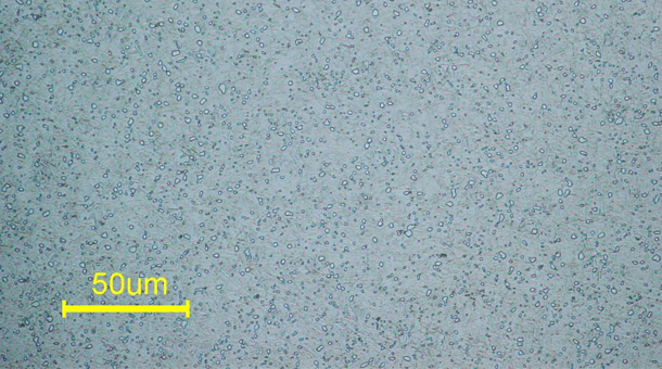 �ȴ��óͷ�sk85�Ľ�����֯