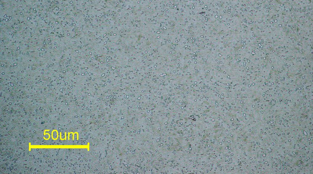 �ȴ��óͷ�sk85�Ľ�����֯