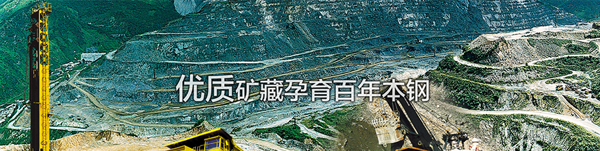 ��������(�й�)���޹�˾����