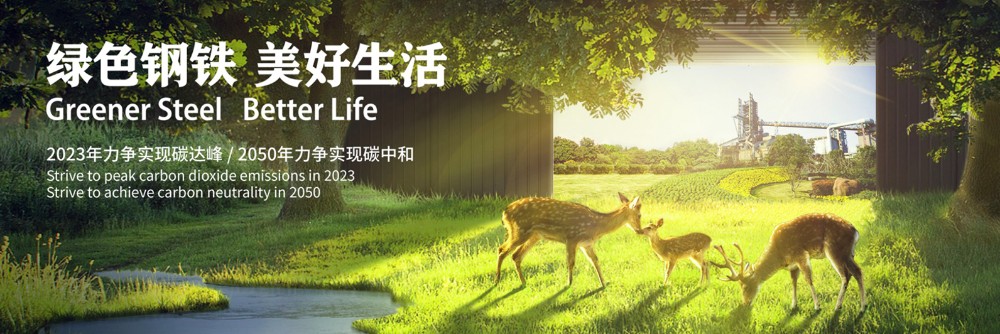 ��������(�й�)���޹�˾����